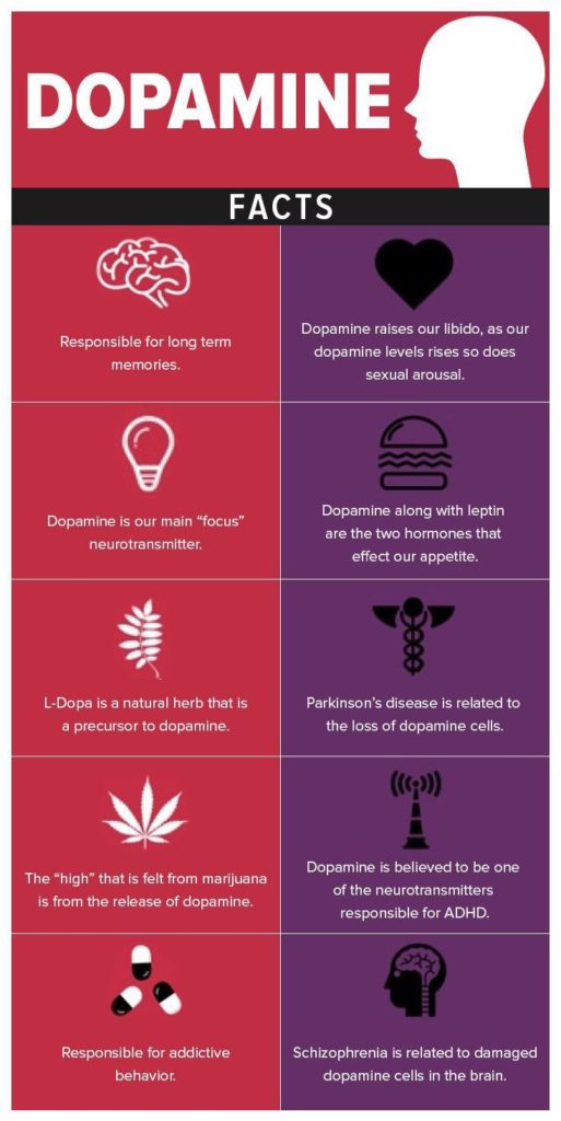 dopamine detox and dopamine fasting