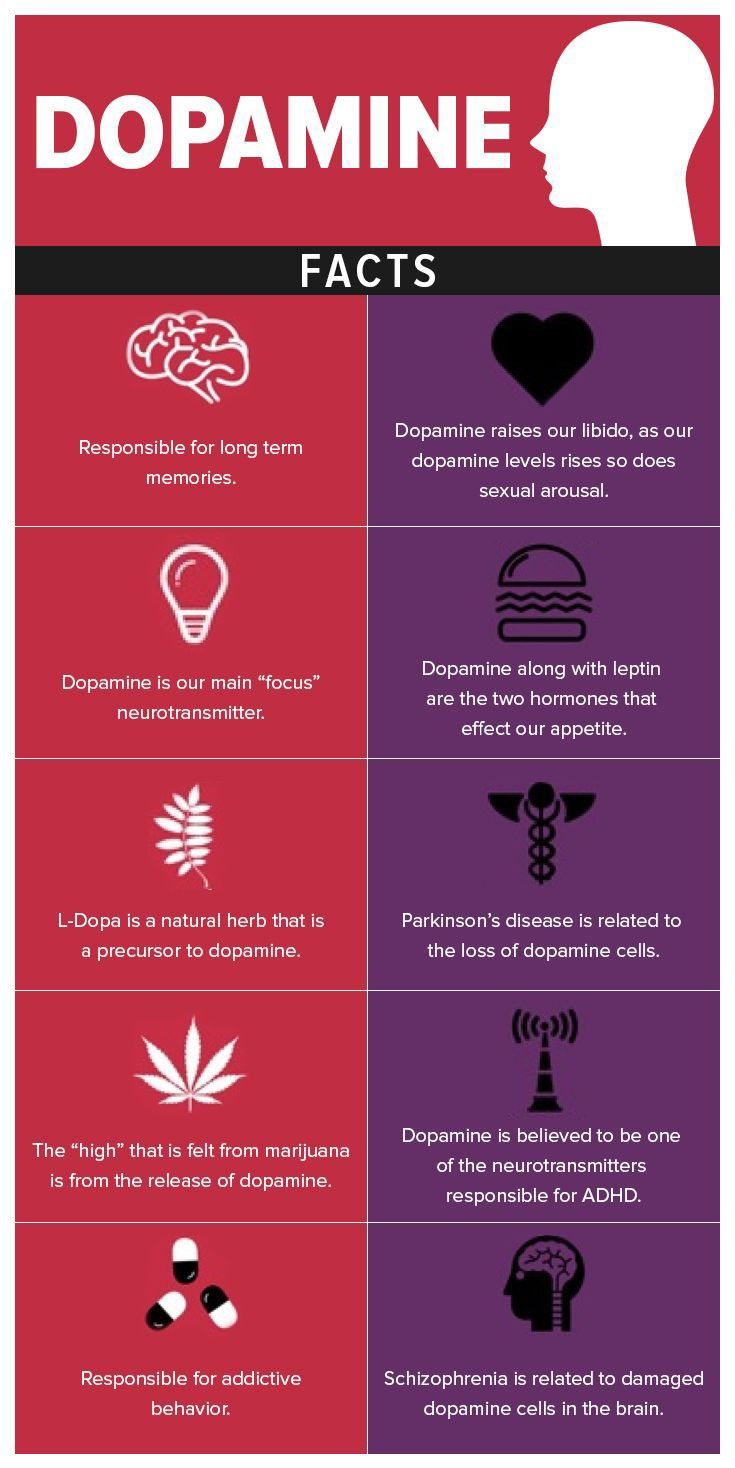 dopamine-diet-dopamine-detox-dopamine-fasting-all-secrets