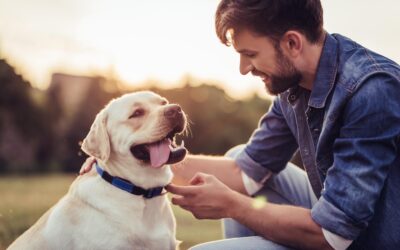 Pet Friendly Rehab: Can I Bring My Dog to Treatment? A Hopeful Guide